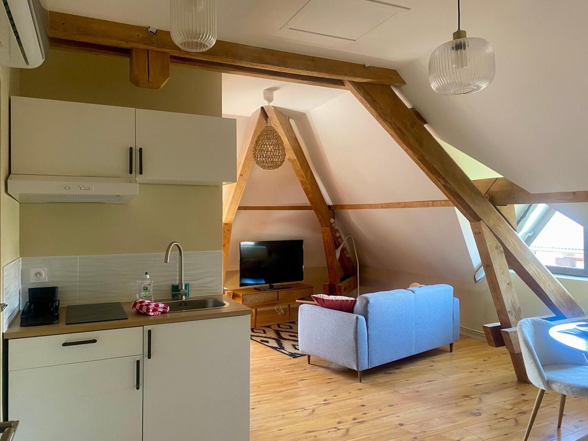 Appartement Cosy 40 M2, Climatise, Parking Gratuit * Annecy