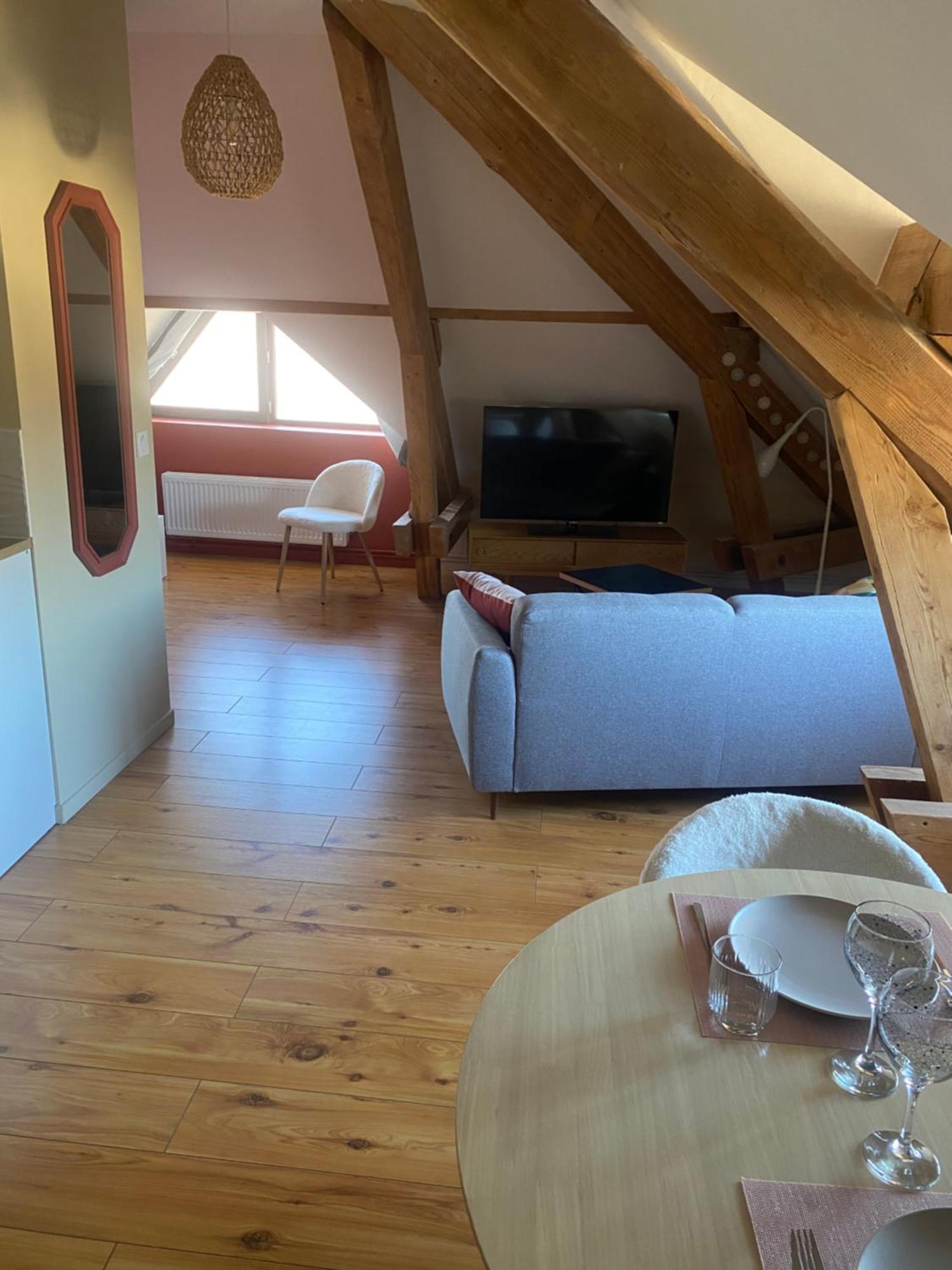 Appartement Cosy 40 M2, Climatise, Parking Gratuit Annecy