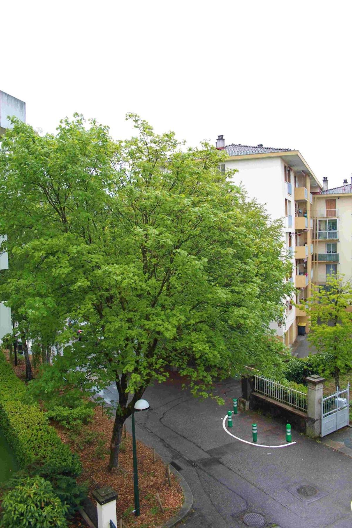 Tres Beau Proche Centre, Tres Calme Appartement *