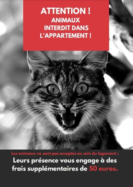 Apartamento Le Cocon Annecien Annecy