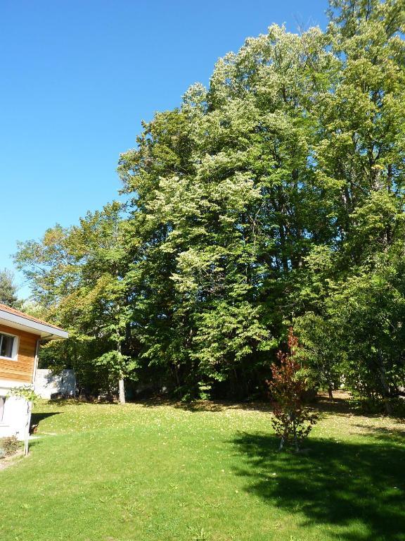 Maison D'hotes L'instant T *