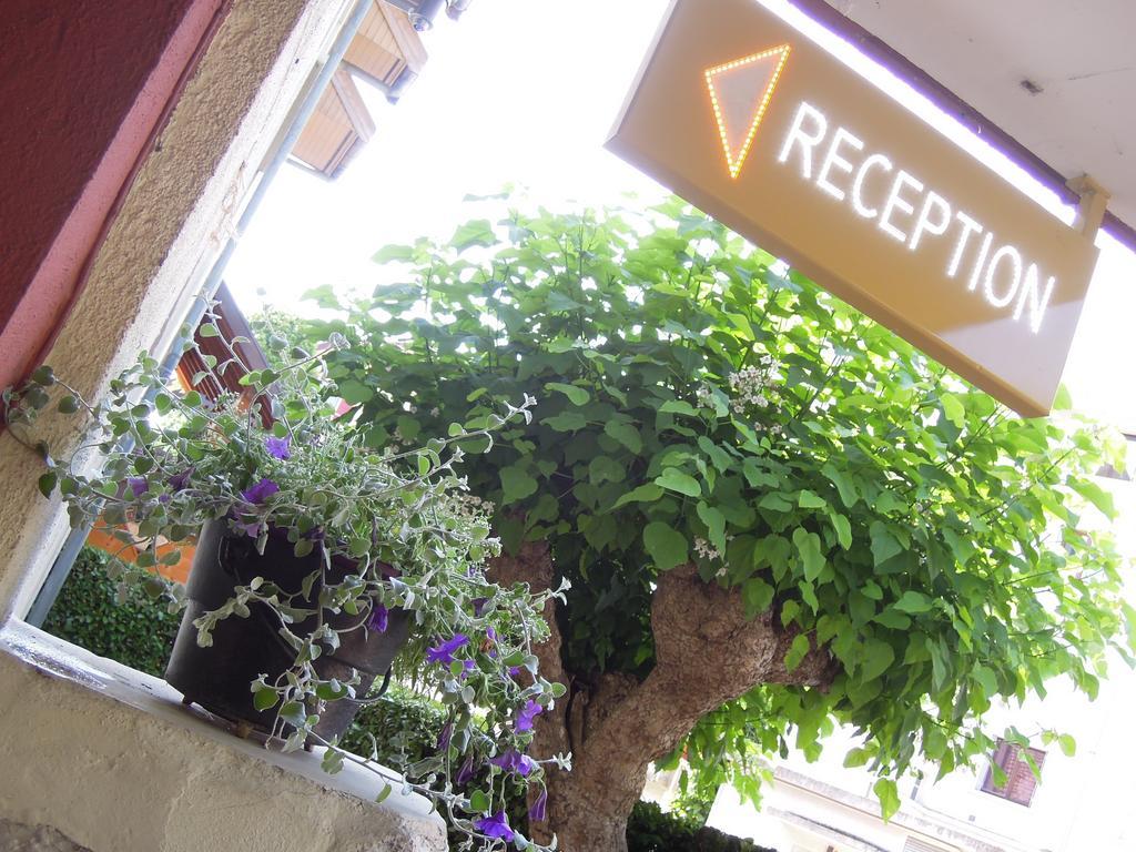 Catalpa 3*