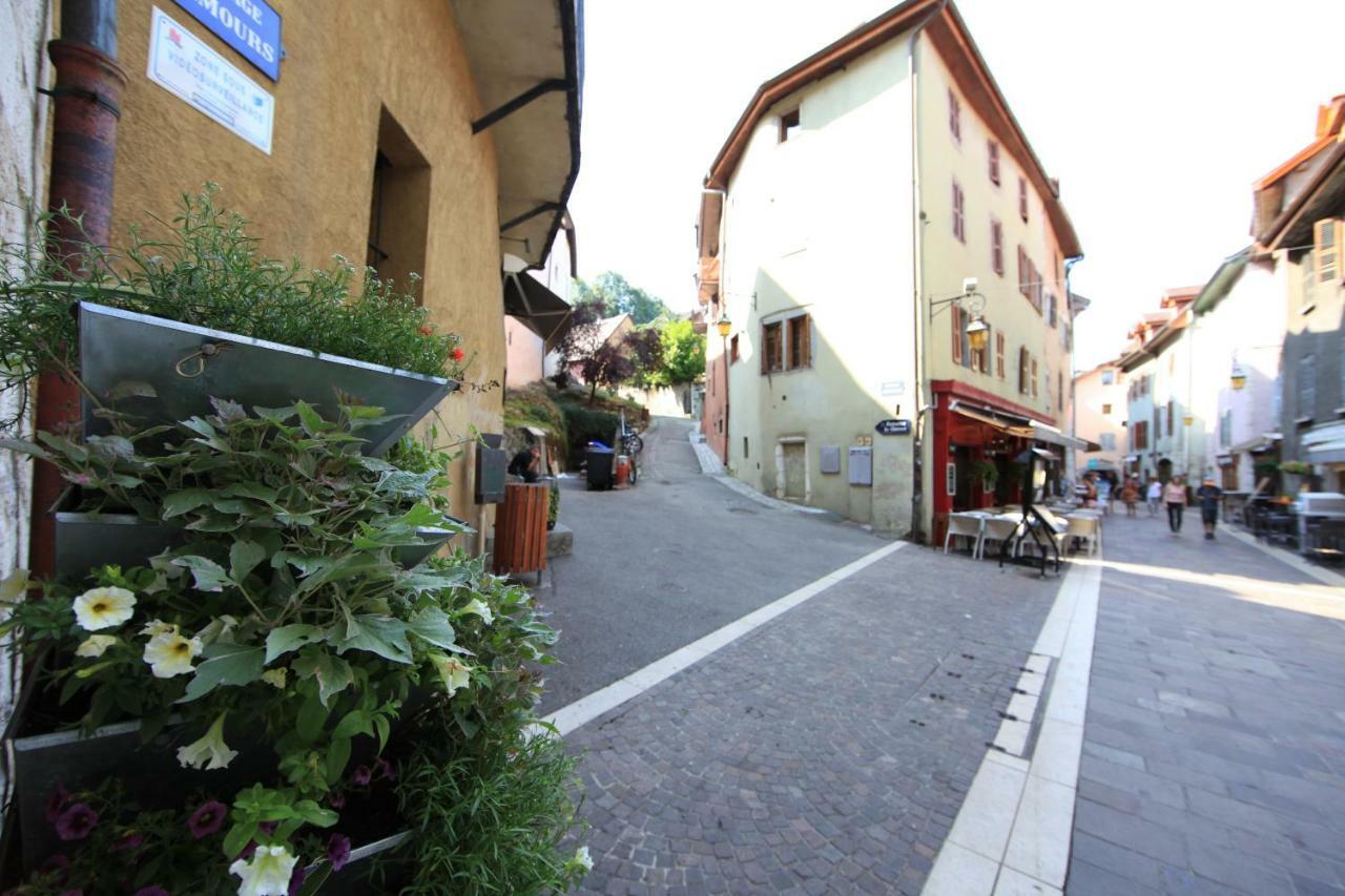 Apartment Homebuddy' - Le Petit Paradis Annecy