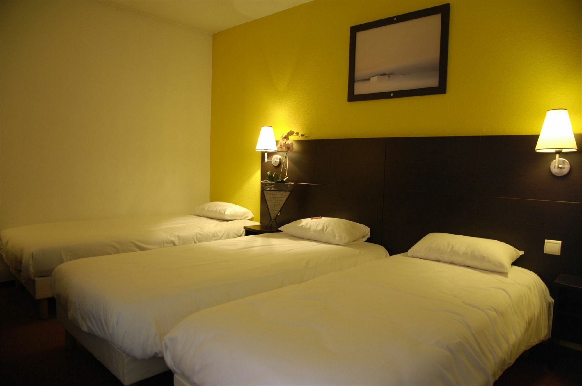 Ibis - Cran-gevrier 3* Annecy