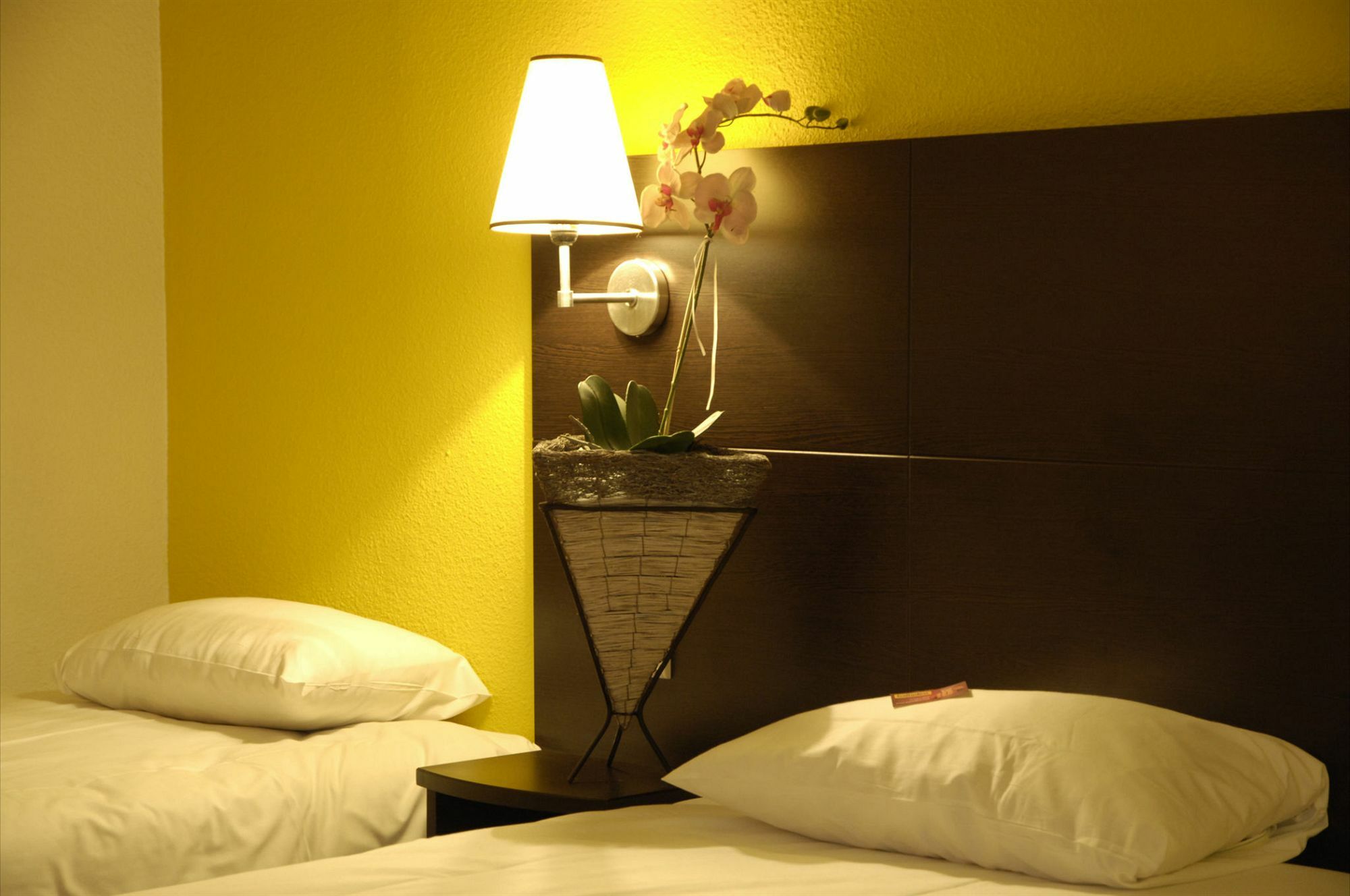 Ibis - Cran-gevrier Annecy