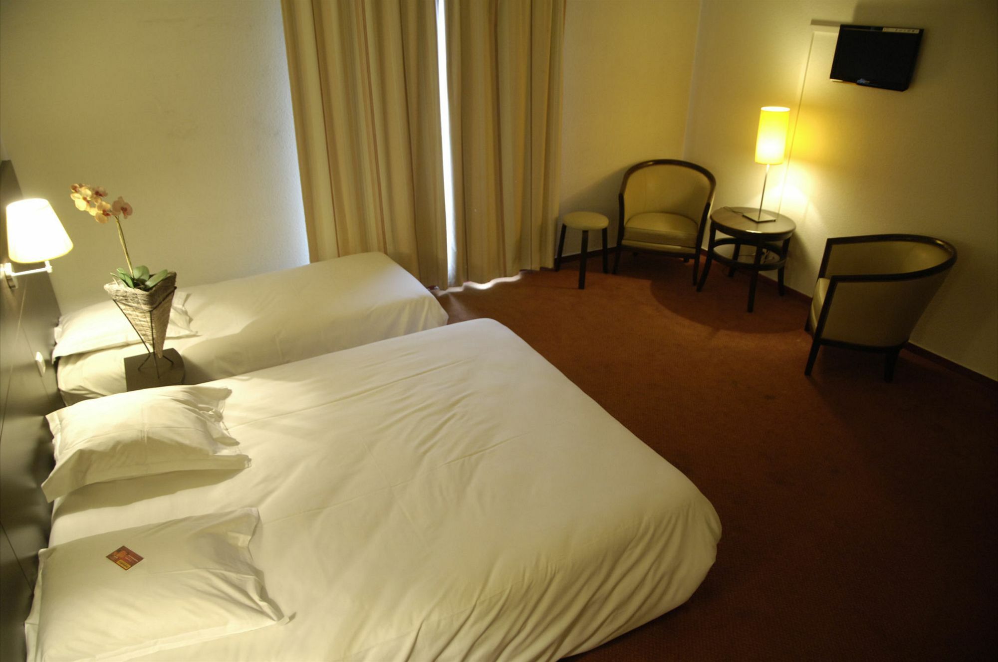 Hotel Ibis - Cran-gevrier Annecy