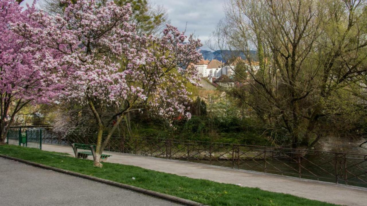 Apartment Escapade Nature *