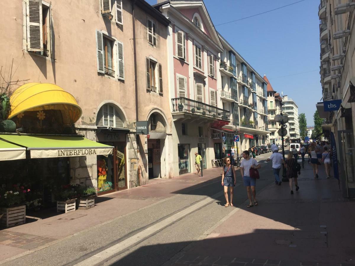Charmant Appartement Annecy Apartment *