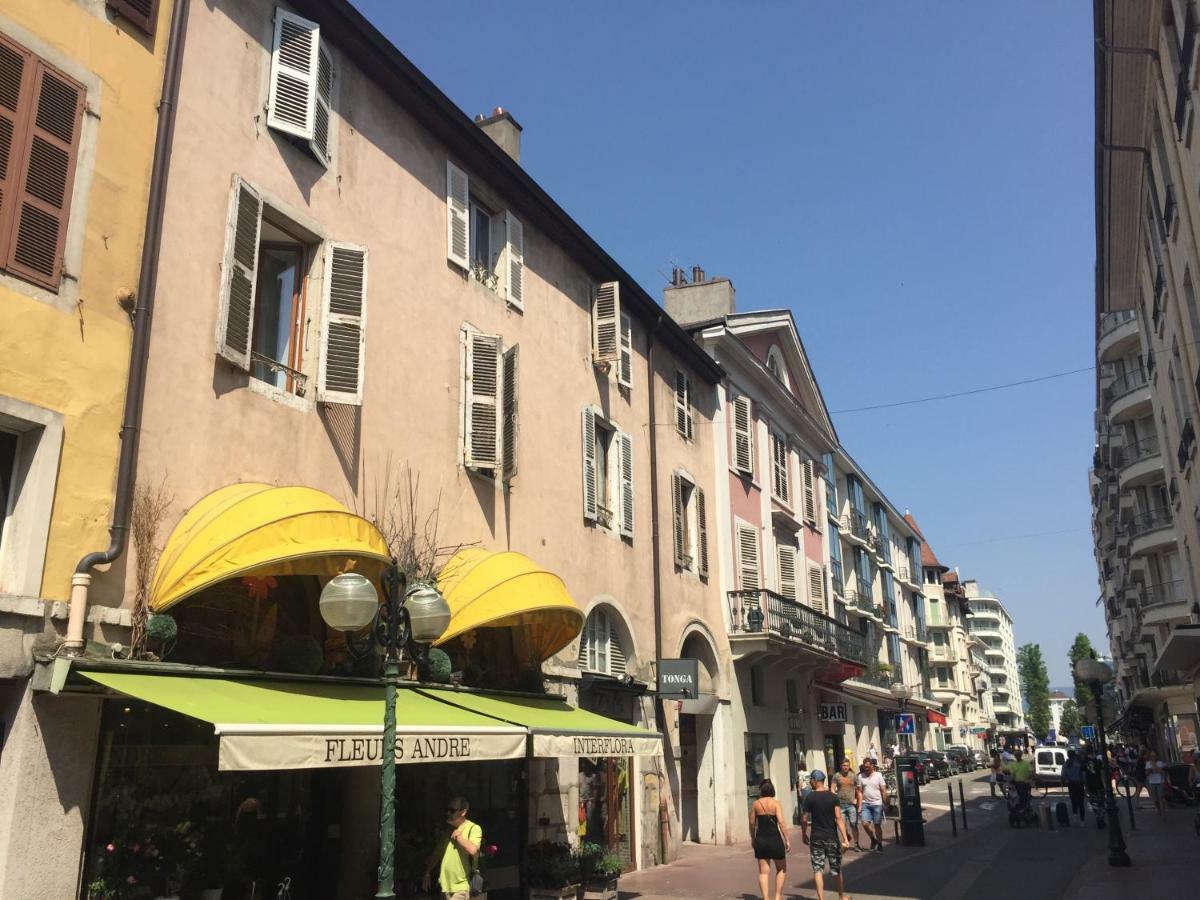 Charmant Appartement Annecy Apartment *