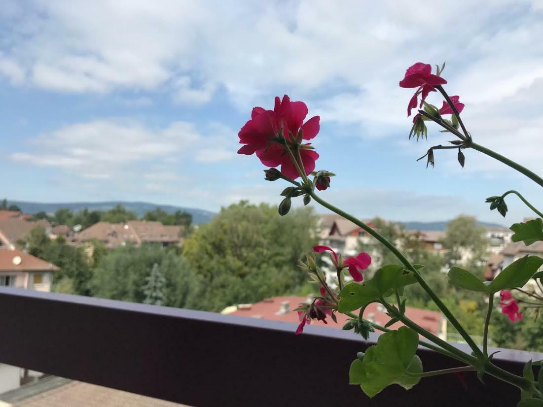 Apartment Filocha
