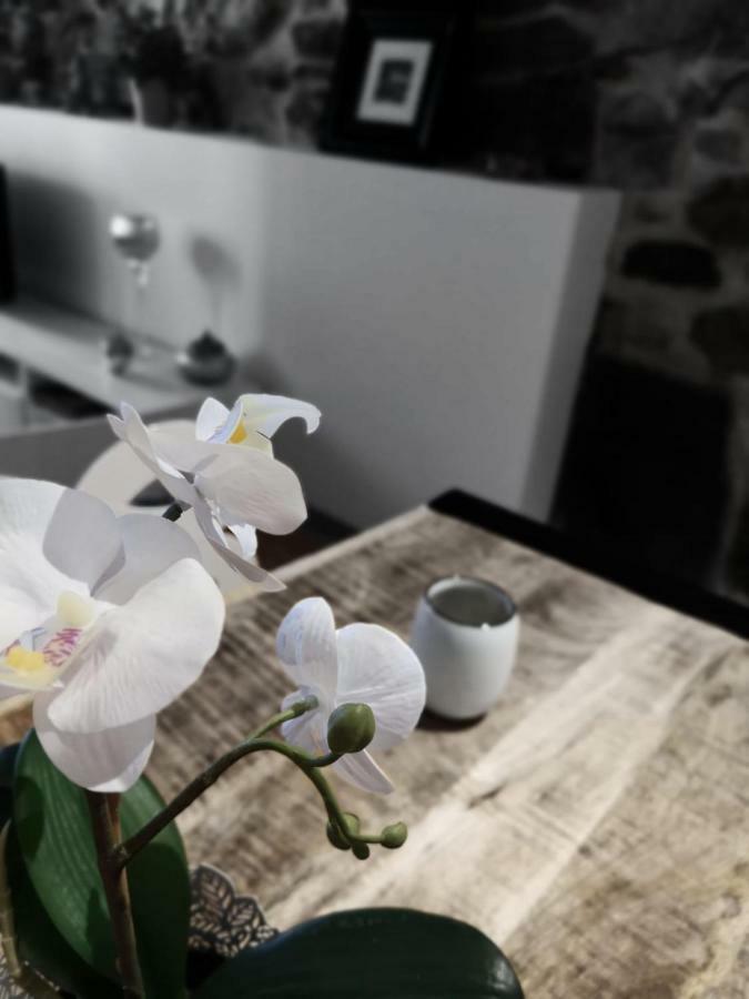 L'authentik, Charme Et Confort En Vieille