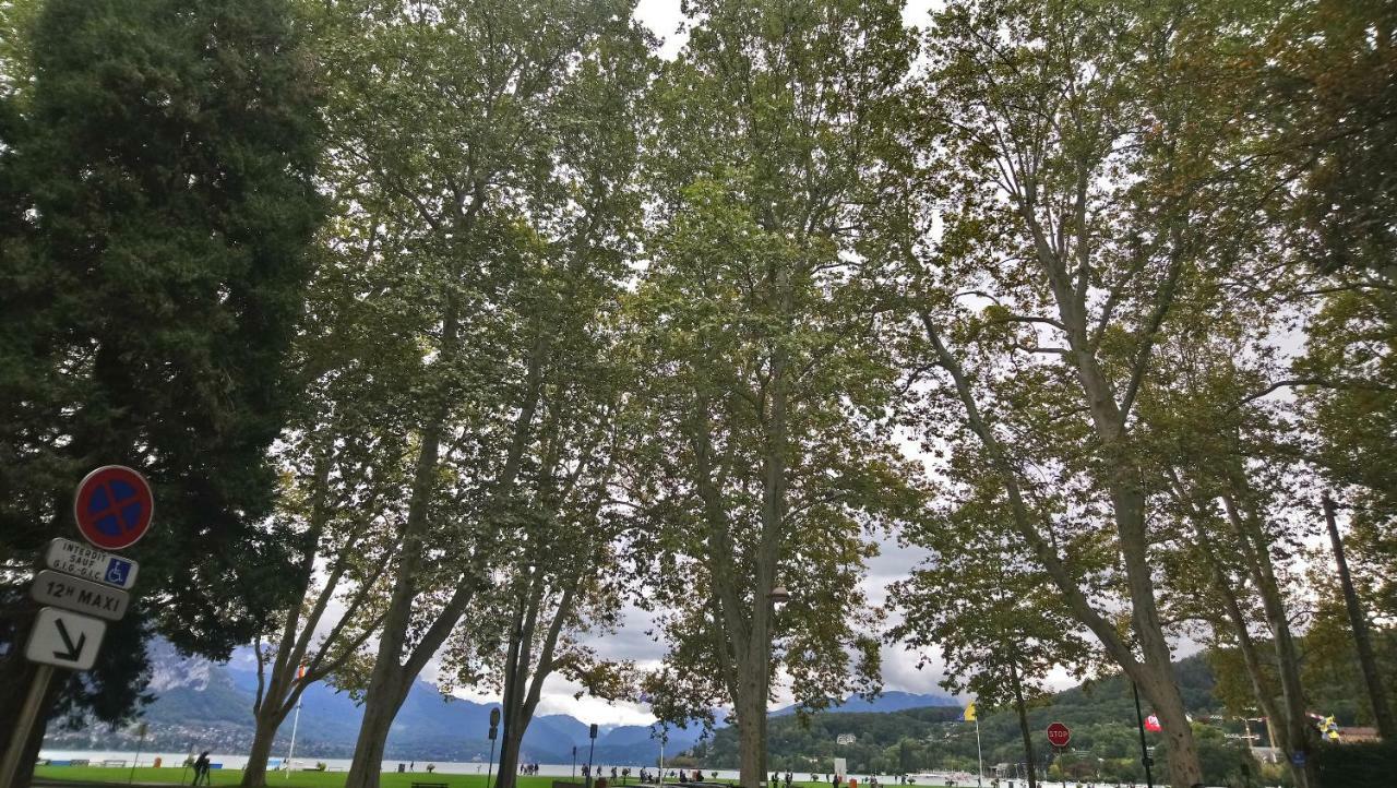Homestay Albigny Vue Sur Centre-ville D'annecy Annecy